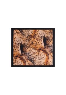 Desigual - Desigual Sciarpa Donna